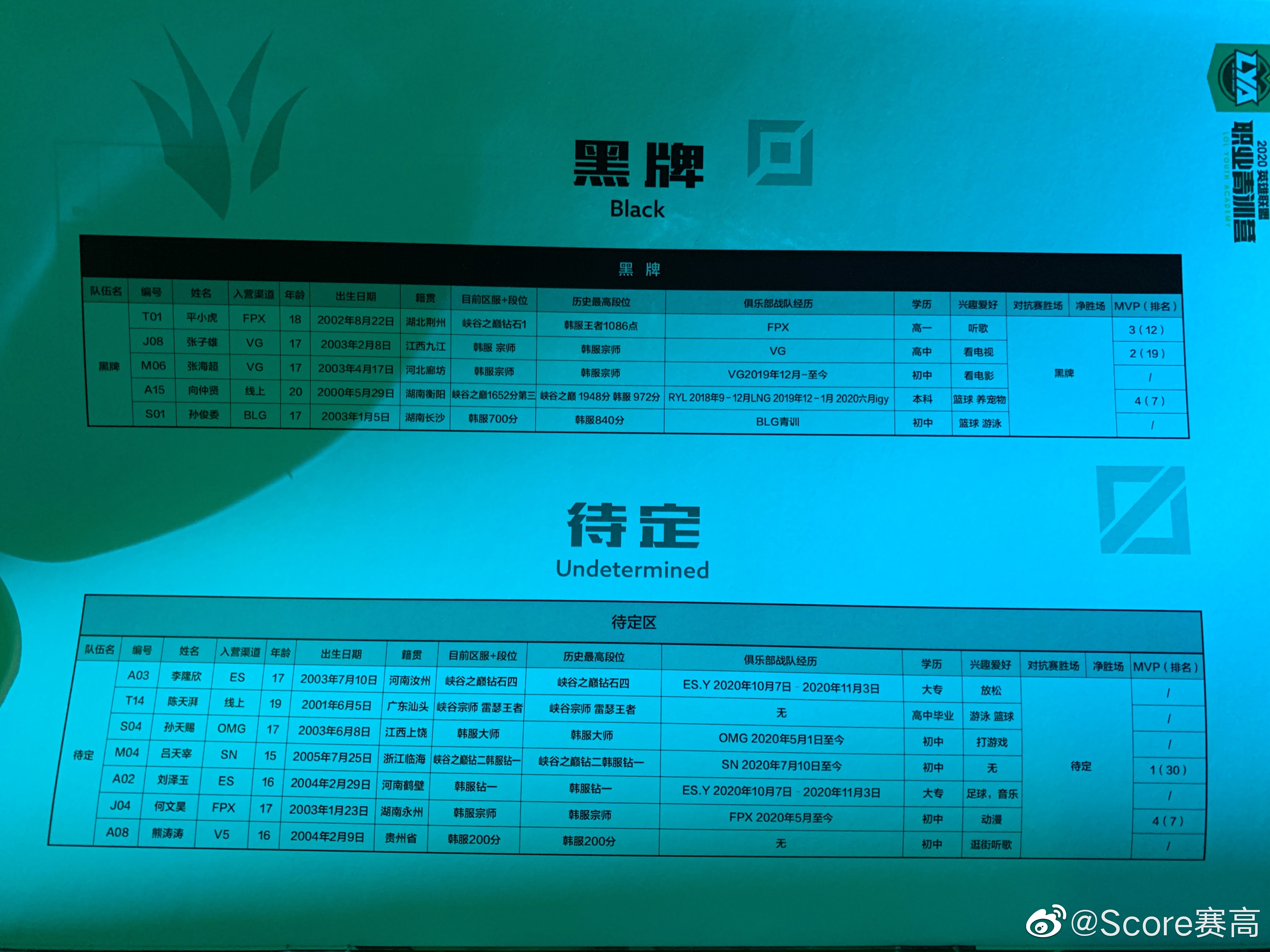 谋划未来：联盟中最具潜力的青训计划的简单介绍
