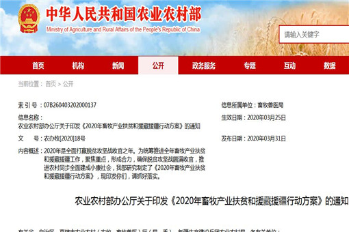 青少年篮球运动项目成为国家策略重点扶持项目之一