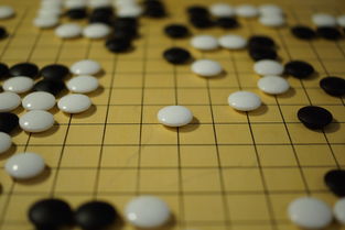 开云入口-三强战术差异显现 澳队强调起速优势