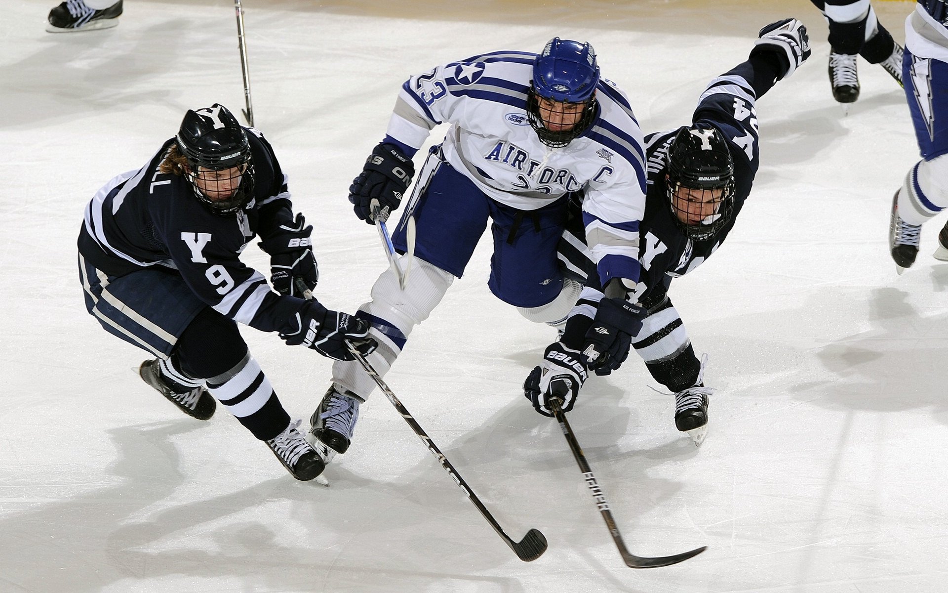 开云体育 入口链接-“未来潜力股：联盟新生代的最佳新秀们”，未来联盟巨星